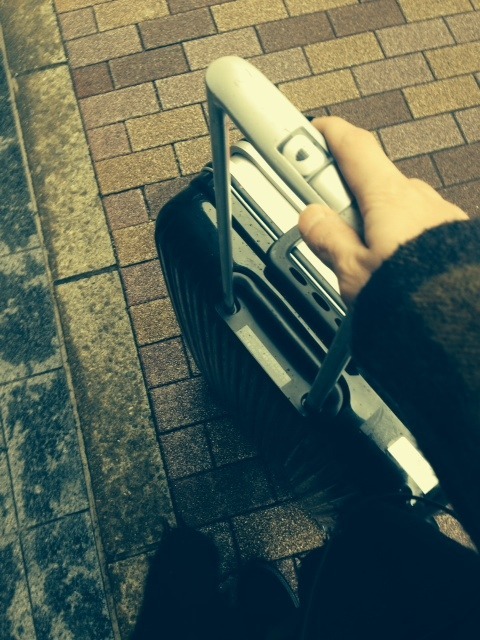 第377回