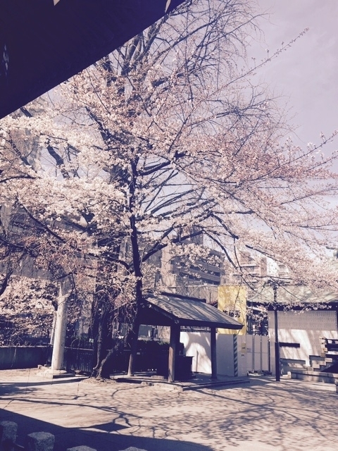 第380回