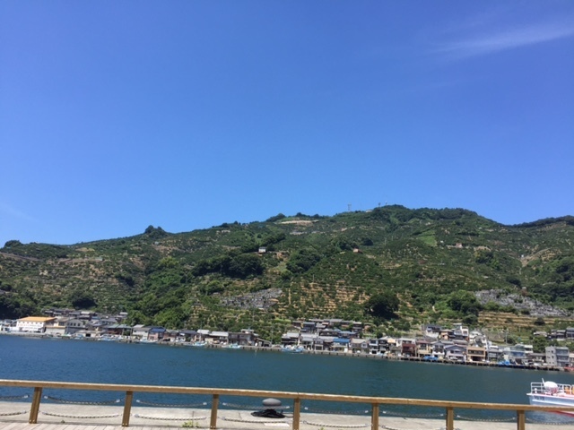 第486回